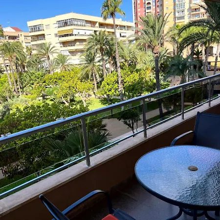 Palmeral Locos Torrevieja