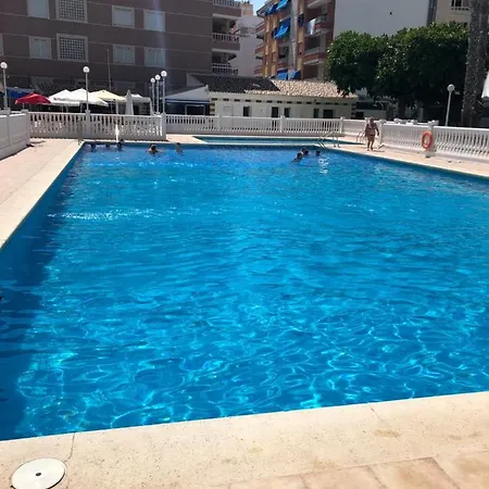 Palmeral Locos Torrevieja