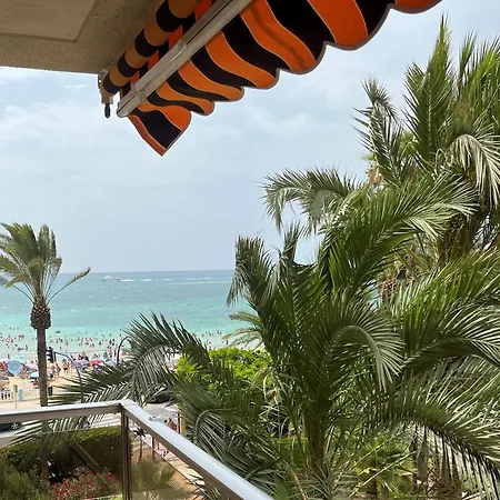 Palmeral Locos Torrevieja