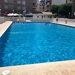 Palmeral Locos Torrevieja