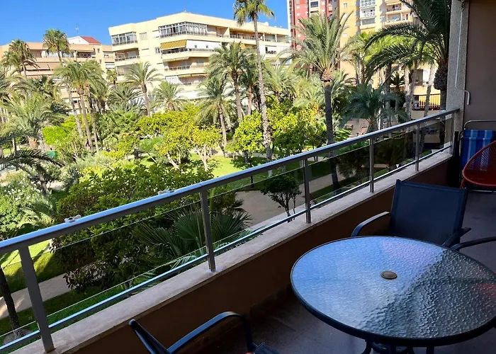 Palmeral Locos Torrevieja