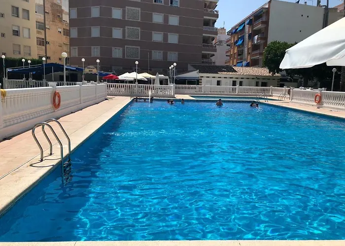 Palmeral Locos Torrevieja